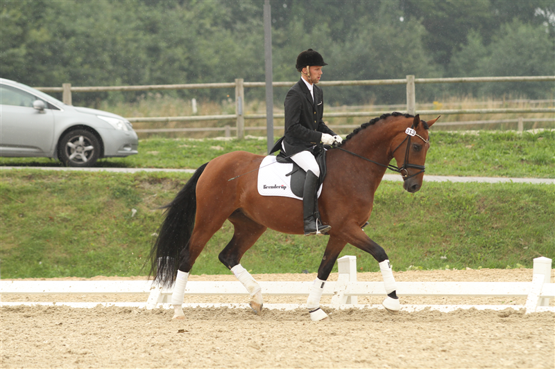 2012 DV Sadelkåring Region 3 Middelfart - Strandagergårds Allison